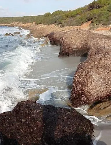 Dom wakacyjny Casa Elena Vicino Al Mare